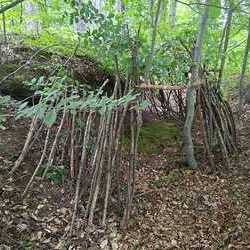 Wald-Pyramidenbau
